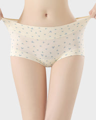 5-Pack Antibacterial Cotton Seamless Boxer Panties